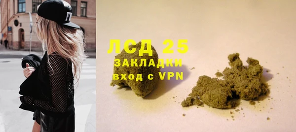 ПСИЛОЦИБИНОВЫЕ ГРИБЫ Богданович