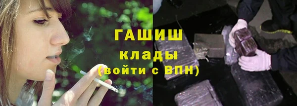 ПСИЛОЦИБИНОВЫЕ ГРИБЫ Богданович