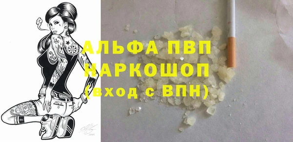 ПСИЛОЦИБИНОВЫЕ ГРИБЫ Богданович