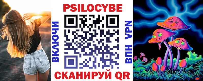 закладки  Бородино  Галлюциногенные грибы GOLDEN TEACHER 